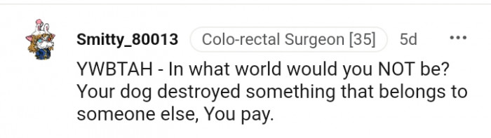 2. Your dog actually destroyed someone else's property