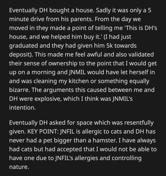 An Aunt Tried to Make OP's In-Laws See Reason, So She Was Disowned as Well. Her In-Laws Disowned Any Relative Who Disagreed with Them About Eddie the Cat.