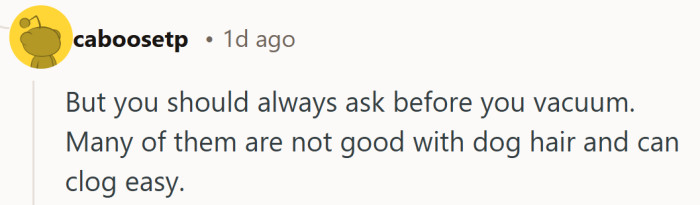 Even good intentions can backfire when a vacuum meets a blizzard of dog hair.