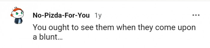 Seeing them when they come upon a blunt