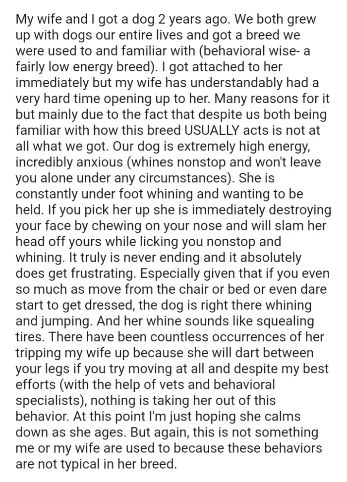 The dog is constantly underfoot, whining and wanting to be held