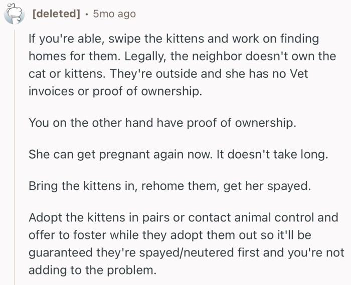 “If you're able, swipe the kittens and work on finding homes for them. Legally, the neighbor doesn't own the cat or kittens.”