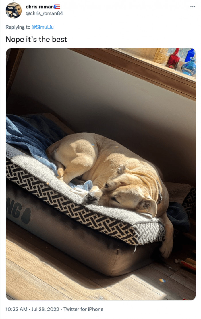 13. Getting a sunbath after a long day at the park.