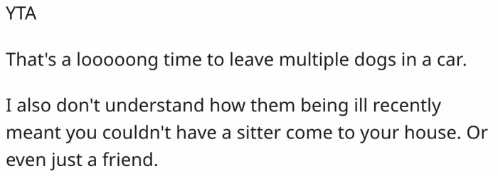 5. Dogs shouldn't stay that long alone in a car.