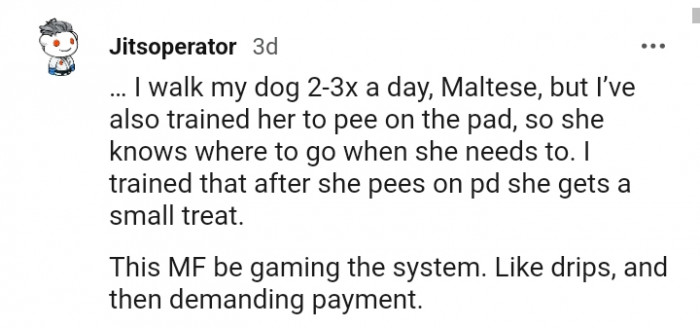 15. My dog has taken over the system