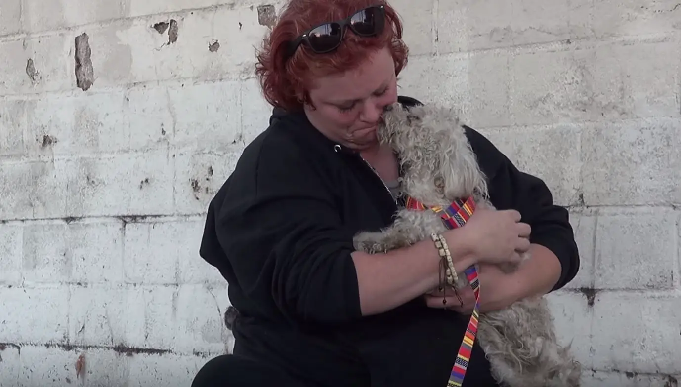 The injured pup's brave response moved its rescuers to tears, defying expectations.