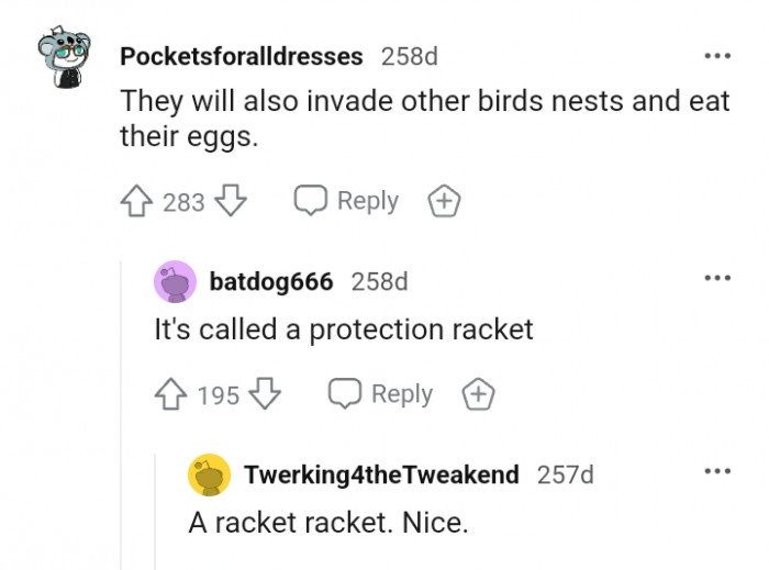 They invade other birds' nests and eat their eggs