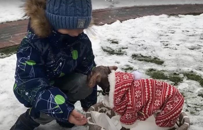 New Family and a Forever Home