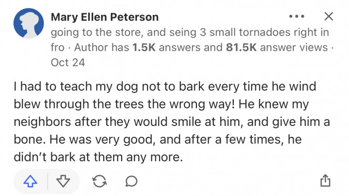 The dog has to gradually build a relationship with the neighbors.