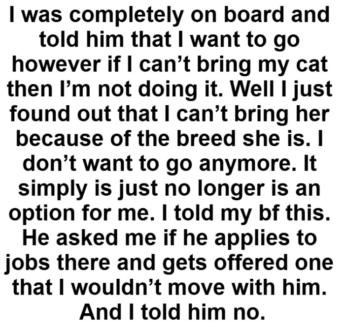 If the OP can't bring her cat, then she's not going