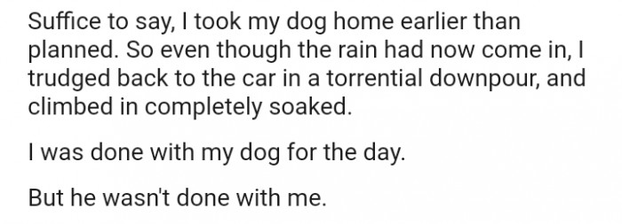 OP took the dog home