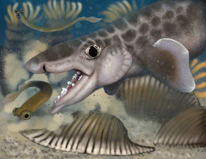 Tiny shark fossil from Mammoth Cave shows Kentucky was once a shallow tropical sea.