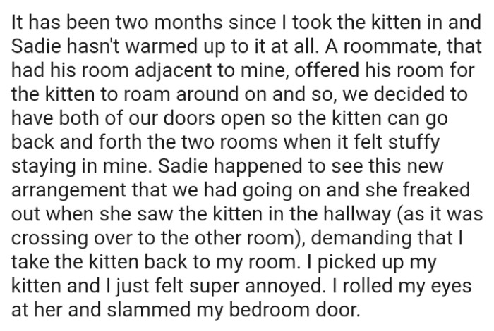 The kitten can go back and forth between the two rooms when it feels stuffy staying in the OP's room