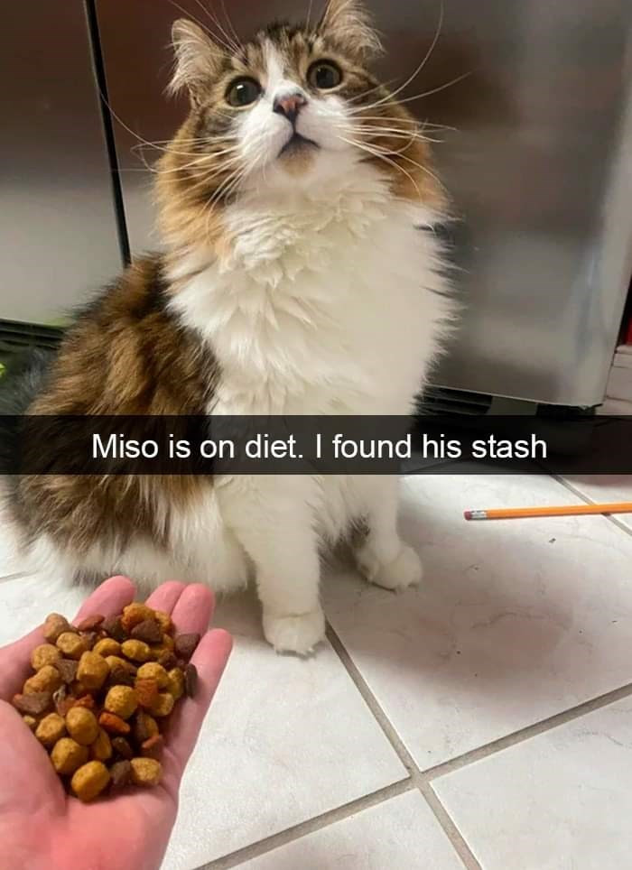 2. "I'm really shocked. It was well hidden."