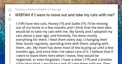 Reddit User Wants To Take Cats Away From Family When She Moves Out