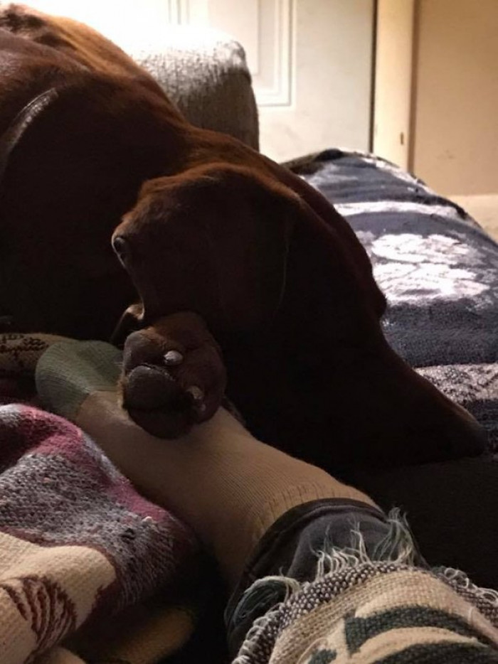 10. They give us comfort whenever we need it.