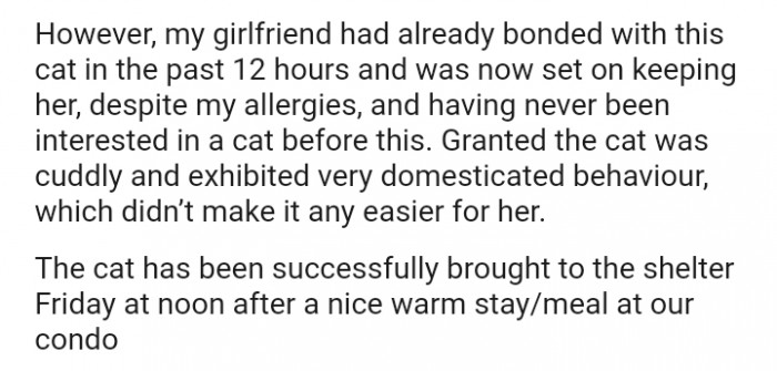 The cat was cuddly and exhibited very domesticated behavior