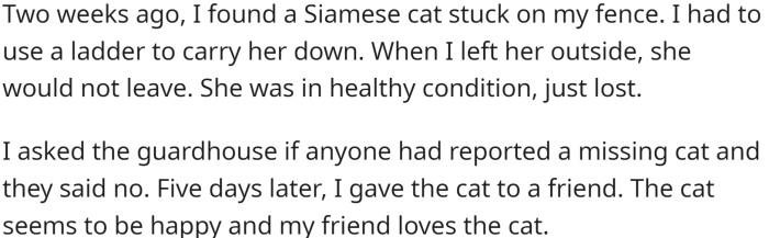 OP found a Siamese cat stuck on their fence two weeks ago. After using a ladder to retrieve the cat, they left it outside, and it refused to leave.