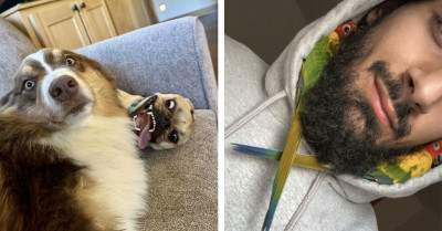 51 Times Pet Siblings Were So Chaotic, So Funny, And So Irresistibly Adorable It Almost Hurts