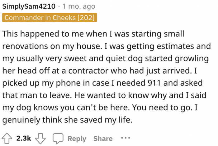 This Redditor has a story to share