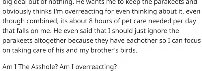 Dad even thinks that OP should ignore the parakeets and focus on the other birds