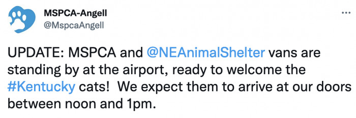 They posted an update once the vans full of cats arrived safely at the airport.
