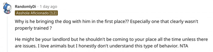 This is also a great question: what's the point of bringing the dog?