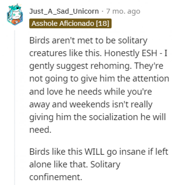 Not fair to the bird