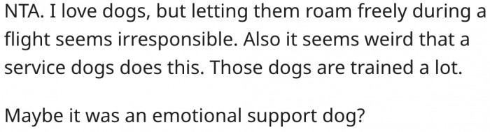 2. It's irresponsible to let dogs roam freely on a flight.