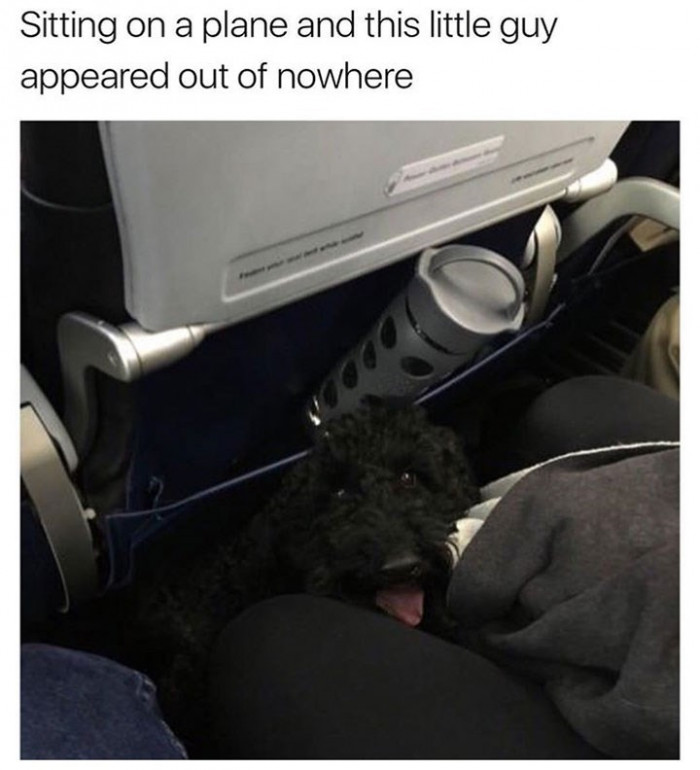 12. Look who we have here