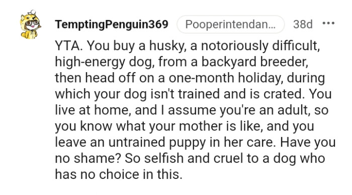 You Know What Your Mother Is Like, Yet You Left Your Dog for Her