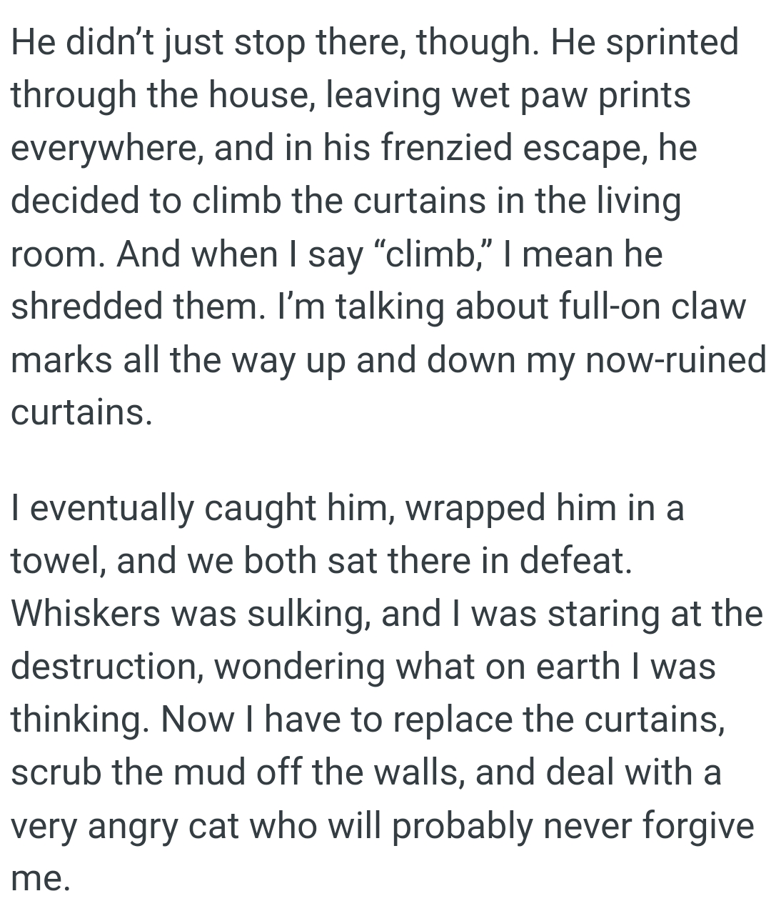 OP had a full-on claw marks all the way up and down the now-ruined curtains