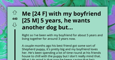Woman Clueless About How to Deal with Manchild BF Who Wants Big Dog Despite Already Having Five Pets He Doesn't Care For