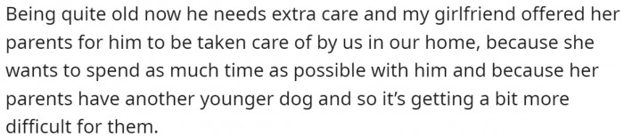 OP's girlfriend's old family dog, a fourteen-year-old springer spaniel, has come to live out what could be his final months in their house.