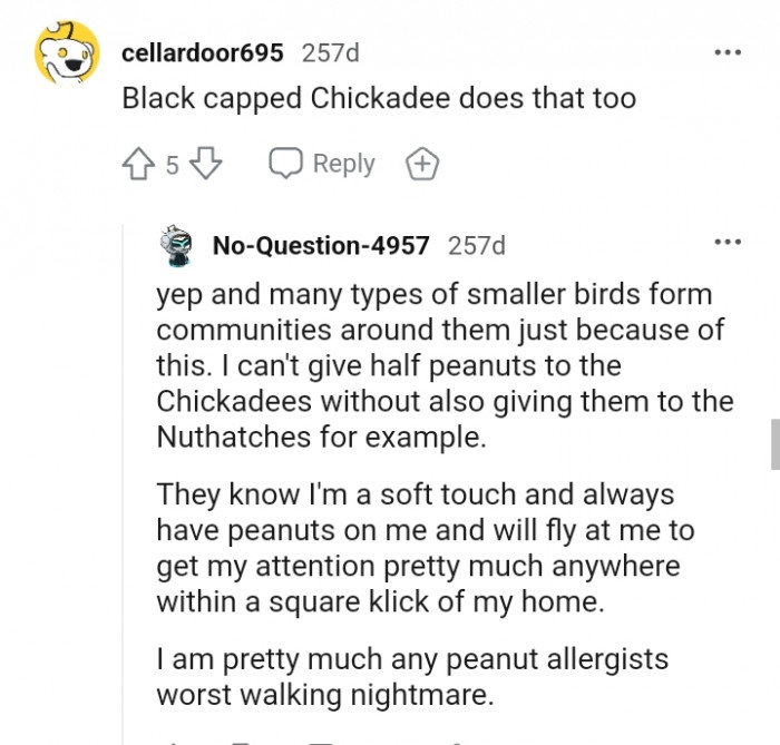 A peanut allergist's worst walking nightmare