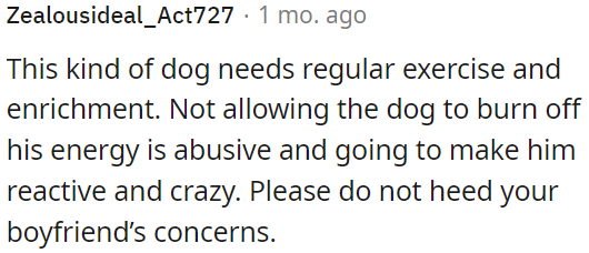 This dog requires regular exercise and mental stimulation.