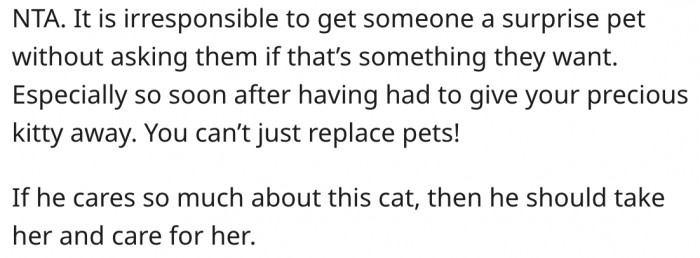 5. Gifting someone a pet without their permission is irresponsible.