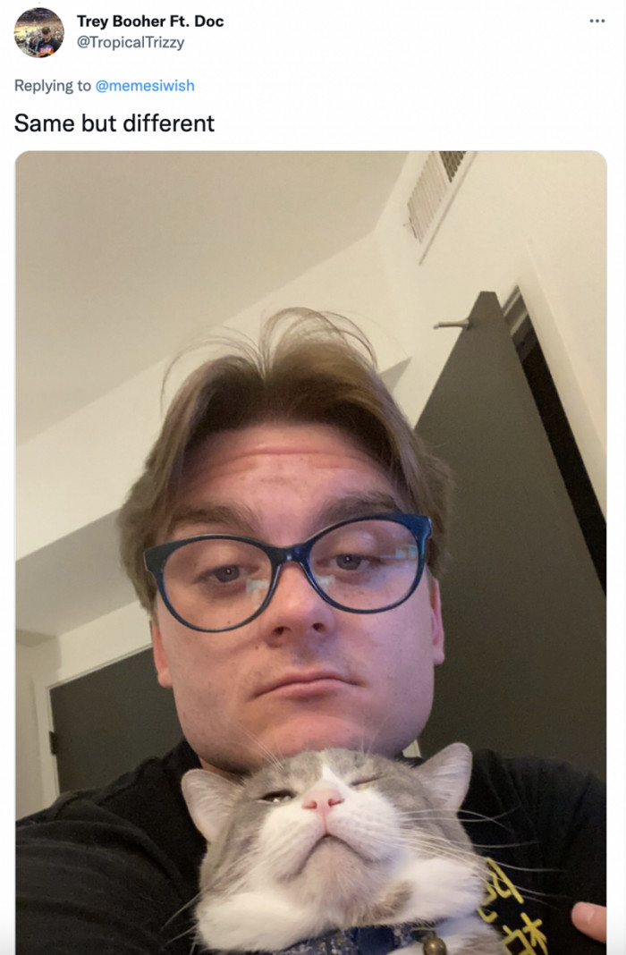 8. Oh, that cat is so handsome, and he's like 'hey hooman, your head's heavy'