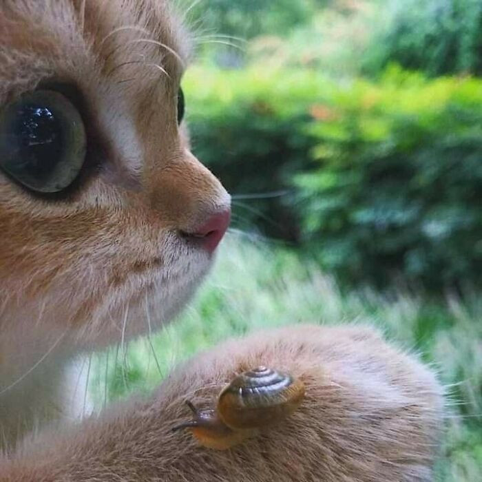 29. I think someone just made a new friend