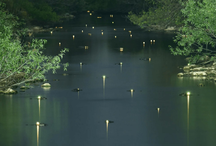 17. Nature's most amazing phenomena.