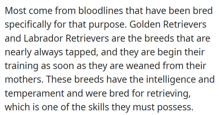 Most SDs come from bloodlines that have been bred and trained for that purpose