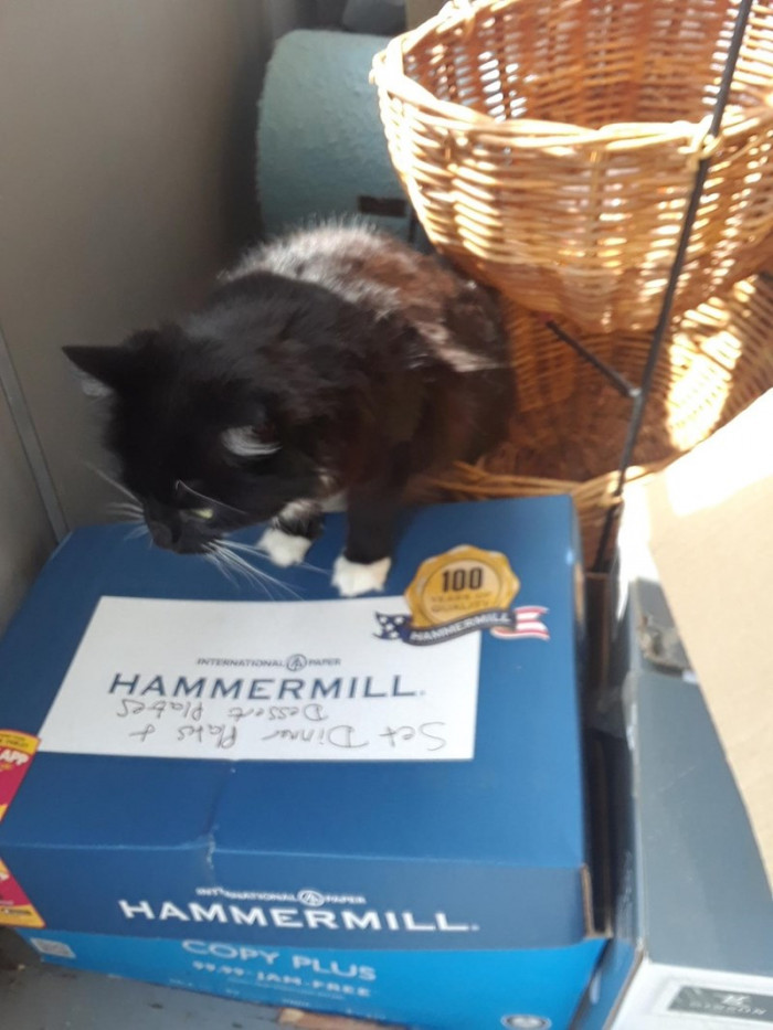 12. Okay, I'll just leave for a bit, but I'll be back