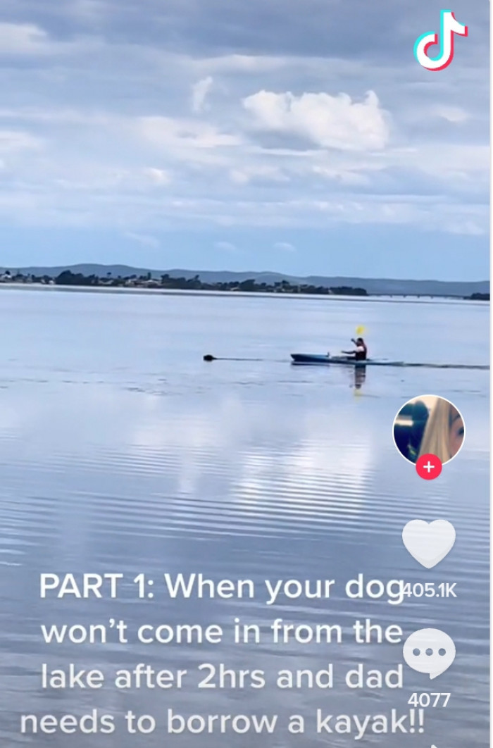The dog won't leave the lake