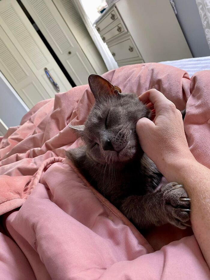 "Naptime feels better with you."