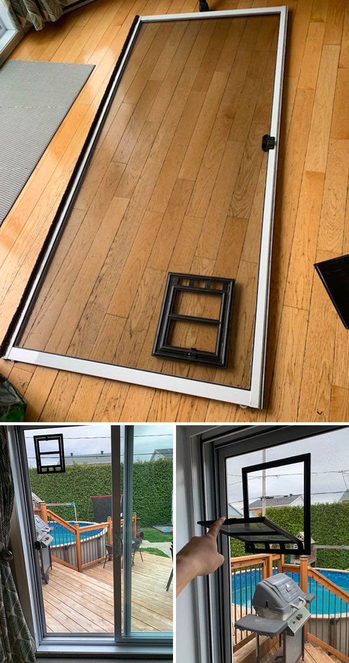 55. My lovely wife bought a new screen and a cat door to go in it. Took a few hours and she was so so proud of herself