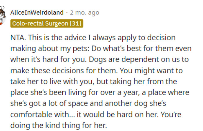 This is a great comment and shows that OP did this for her dog because she knew it was what was best for them.