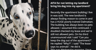 People On Reddit Solve Man's Rule-Breaking Landlord Issue