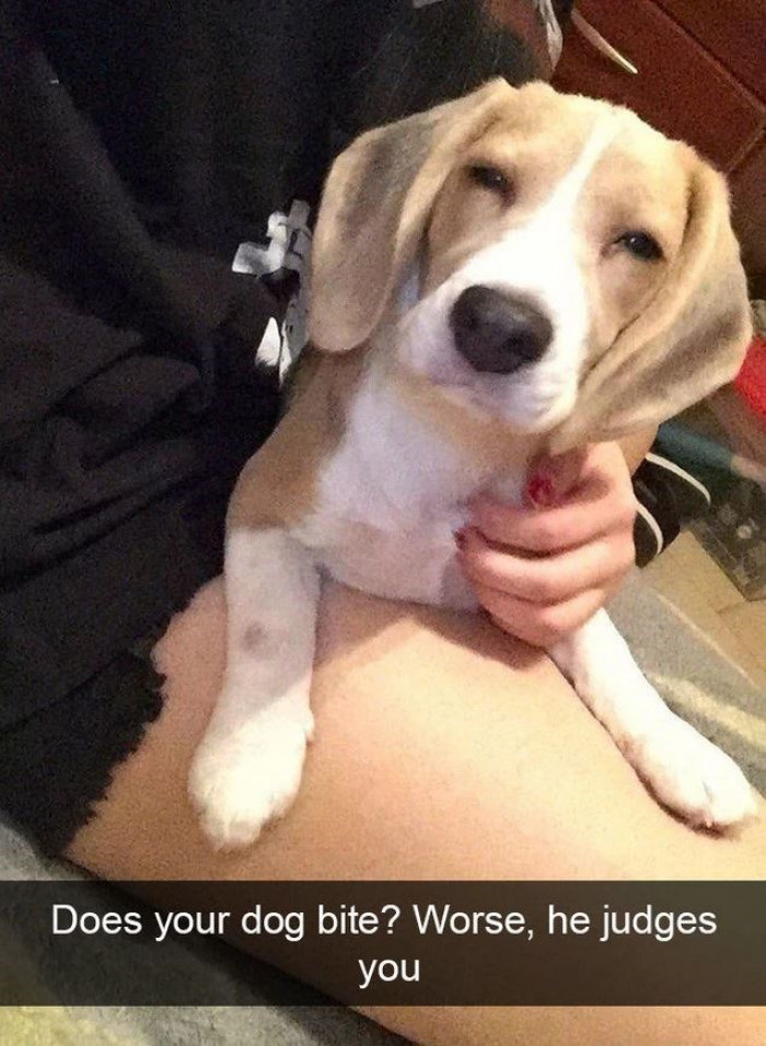 16. The look on its face says it all.