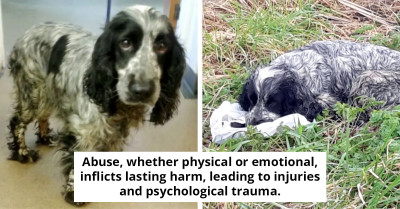 Cyclist Finds Crying Dog With Plastic Bag – What’s Inside Brings Him To Tears