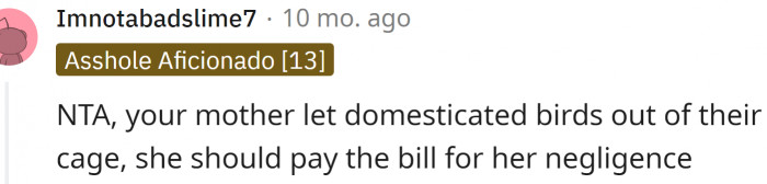 She let domesticated birds out of their cage; she should pay the bill for her negligence
